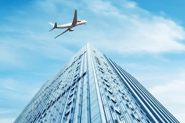 金钱菇和香菇哪个好