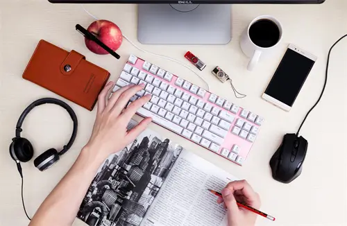 小泥鳅是怎么样的